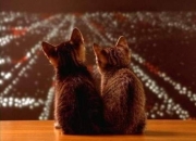 爱游戏下载-伊萨克存在感拉满，摩洛哥全面压制智利—一场战术与意志的较量