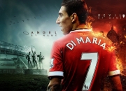 爱游戏娱乐-年终总决赛完胜ATP总决赛，德约科维奇以领袖之姿扛起全队荣耀