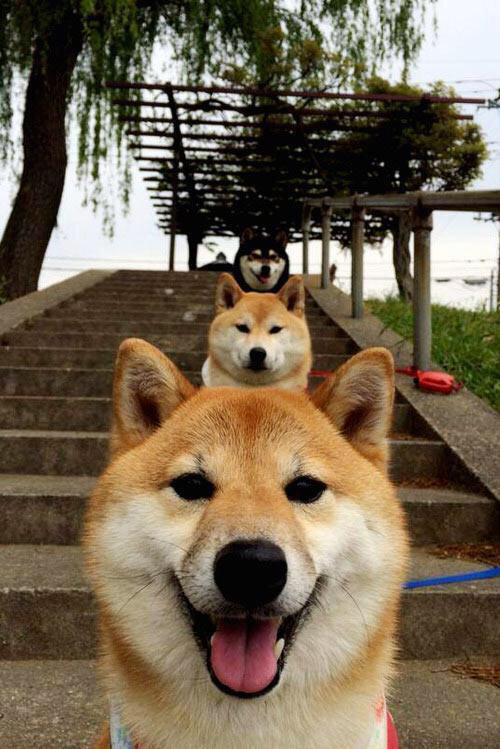 铁壁与节奏的艺术,德里赫特如何以掌控之力定义尤文对阵皇马的现代对决