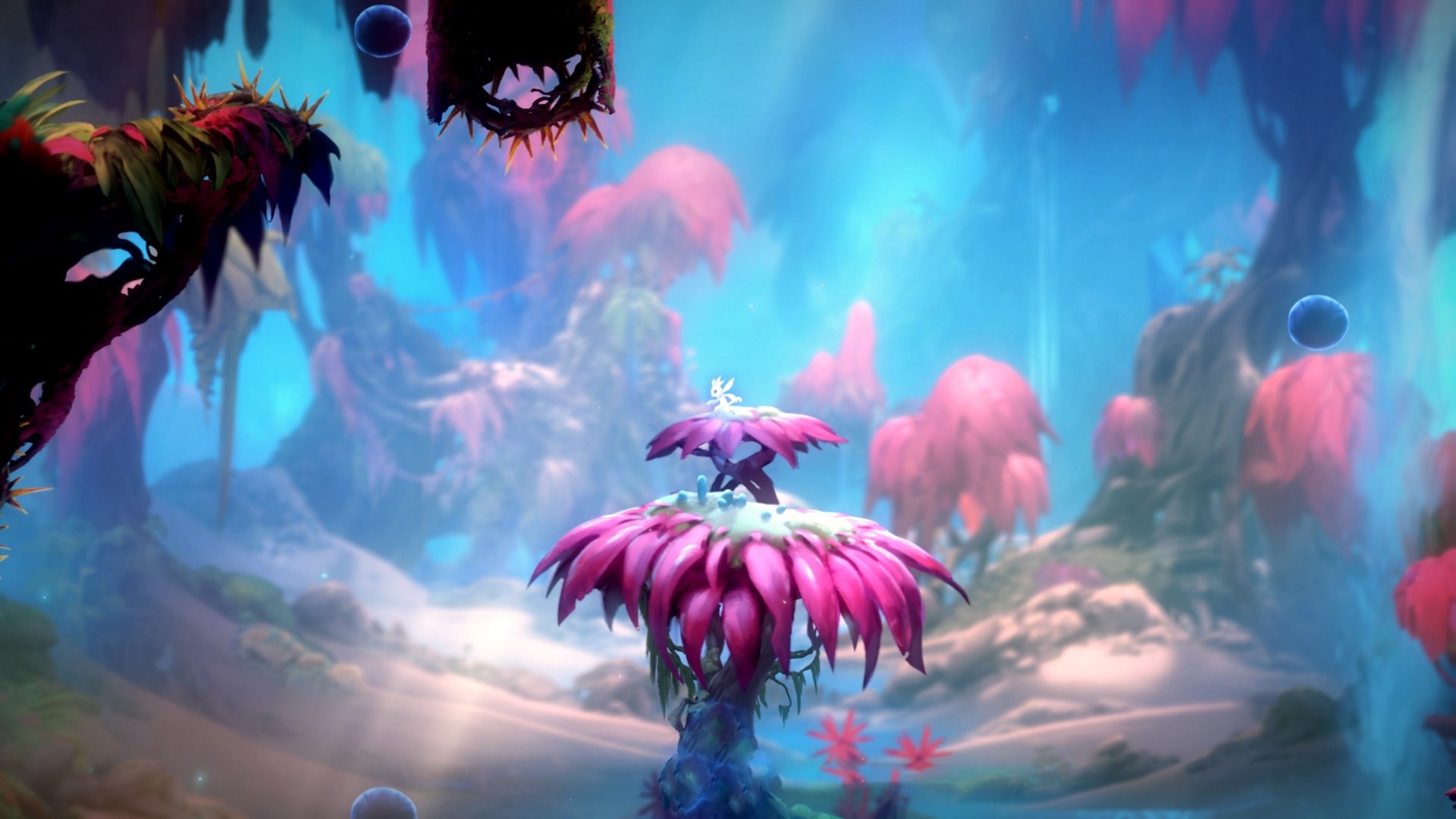 西决生死战焦点战，玻利维亚高原奇迹，足球场上的海拔战术能否带走法国？