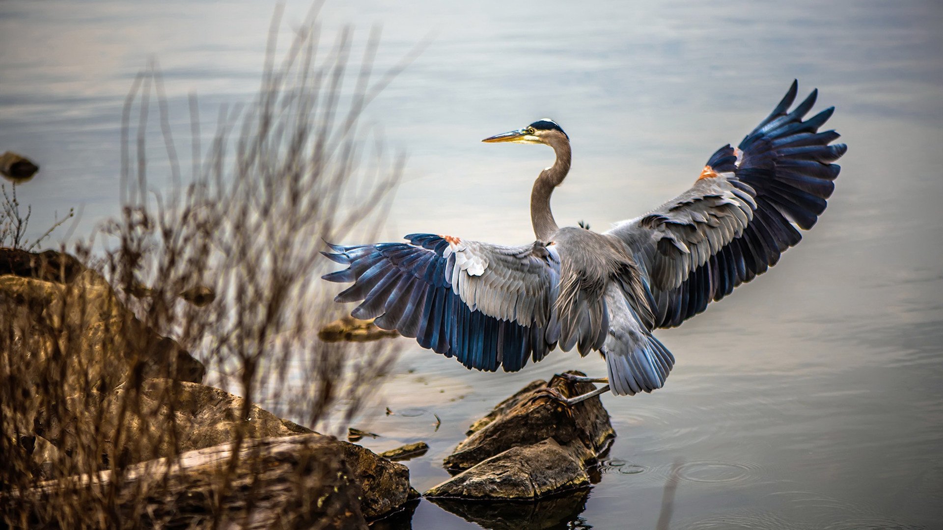 切特·霍姆格伦,山西对阵76人,一场被独角兽掌控的宿命对决