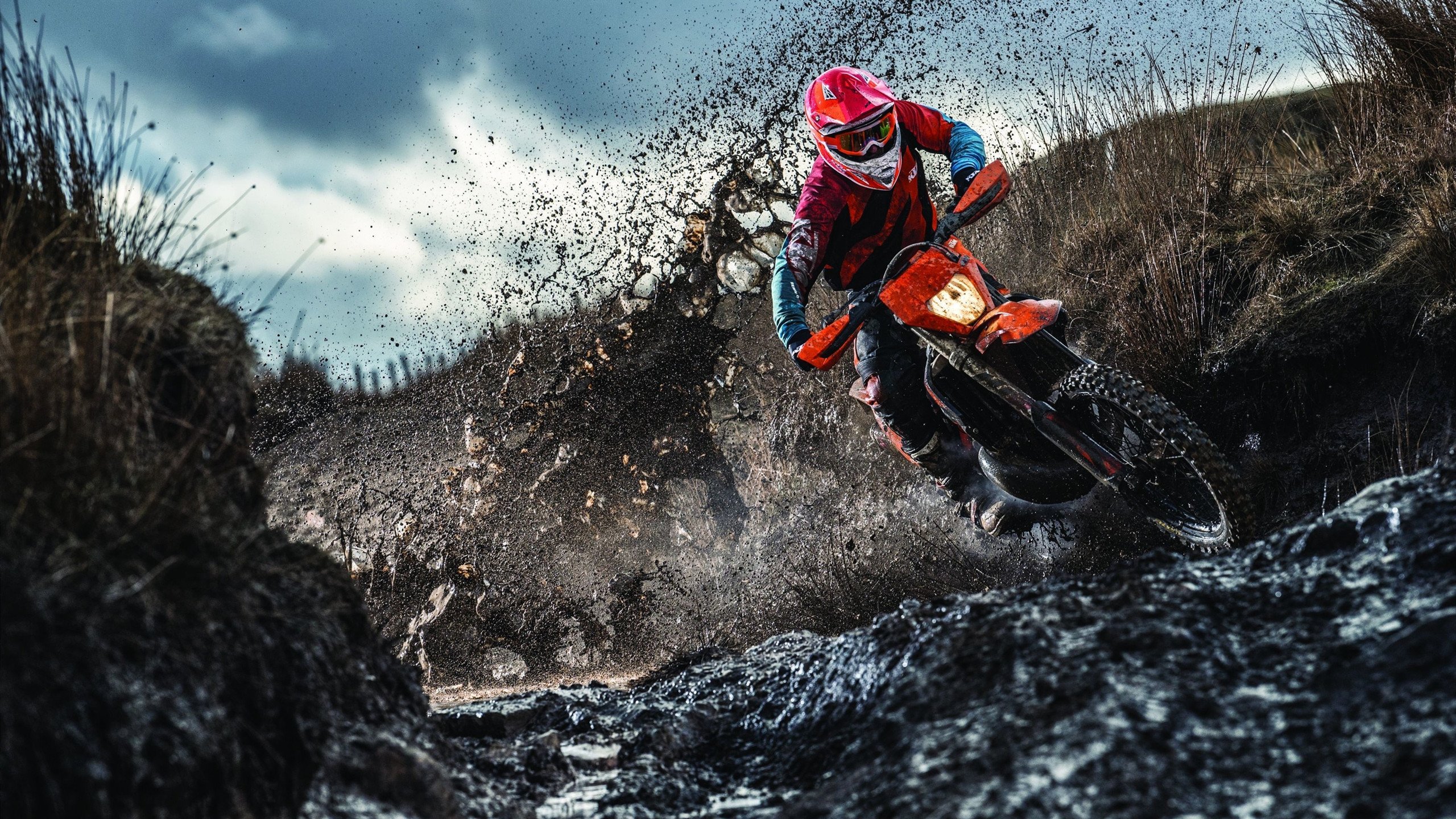 绿茵场上的双重奏鸣，厄德高统治全场与伊拉克狂胜韩国的启示