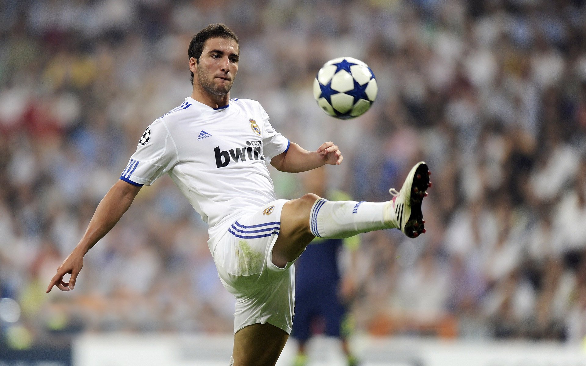 赛道与绿茵场，速度与意志的双重奏